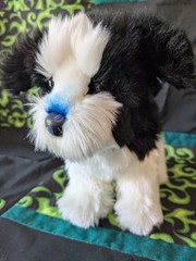 Custom Poofy 10″ Shih Tzu Dog Douglas Plush Stuffed Animal Black White Pup ESSA