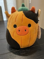 Squishmallows 8” Pumpkin CONNOR & TANGIE Select Series Mallow Mash 2024 NEW!