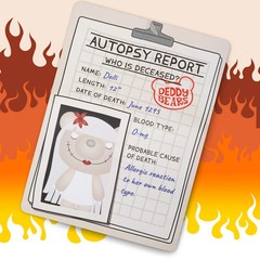 DEDDY BEARS Dolli 12” Rest in Pieces Plush Toy Body Bag Autopsy Report Series 2