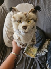 GANZ Webkinz Signature Endangered Iberian Lynx Plush WKSE3013 2011 Retired