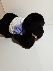 Build A Bear 15″ Black Labrador Retriever Dog Plush BABW Retired With Clothes