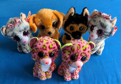 Lot 6 NWT Ty Beanie Boos 6″ Pet Adoption Party Lainey, Kiki, Spirit, Zuzu