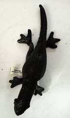 Sand Critters from Thailand