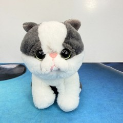 Ty Beanie Bellies Miso Grey White Exotic Shorthair Cat Plush Flat Face Kitty 7″
