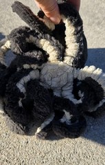 JELLYCAT *Inky* Octopus Black / Dark Gray 9″ Plush Rare/ Retired TAGS REMOVED