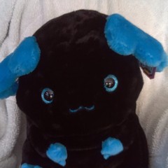 Pawco Belly Buddies Axolotl Plush /Black/Blue Washable 3+ Years 14-24 in