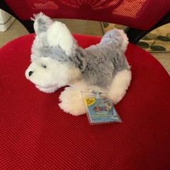 Webkinz Husky HM120 New with Sealed Code. Very cute.