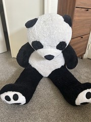 Giant panda Stuffy, Compared To A Can