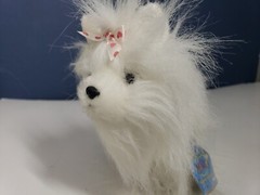 Ganz Webkinz White & Pink Yorkie HM070 Dog Plush/Stuffed Animal (used code) Tag