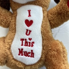 Dan Dee Puppy Dog Plush Stuffed Animal Toy “I LOVE YOU THIS MUCH” 10”