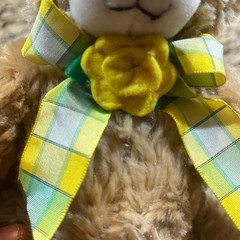 BOYDS BEAR Ray O. Plush Special Edition Daffodil Days Program American Cancer 6″