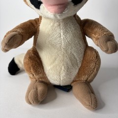 Ranger Rick Plush Stuffed Animal Raccoon 1994 8” Education Magazine Plush