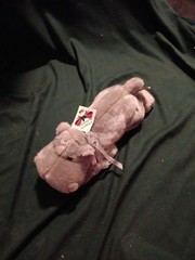Aurora World Happy Hippo Hippopotamus Plush Stuffed Animal 11″ St Louis Zoo