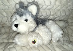 Webkinz Husky Plush HM120 Ganz Gray White Stuffed Animal No Code EUC