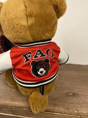 FAO Schwarz 1862 Varsity Jacket Teddy Bear NWT