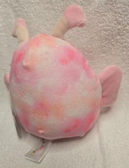 Squishmallows Eileen the Butterfly NEW 5″ plush S5 1722 pink Squishmallows
