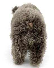 Steiff Dalle Wild Boar Mohair Pig 1960s ID Button and Tag 20cm 8in Vtg no tail