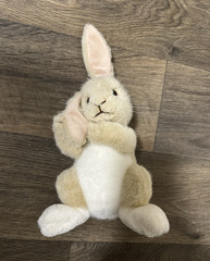 Vintage 1993 Dakin Plush Bunny Rabbit Stuffed Animal Beige & White