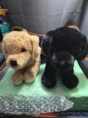 Pair Of Douglas Dogs