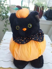 Vintage Nylon & Plush Halloween Pumpkin Black Cat Plush Stuffed Polka Dots