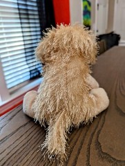 Webkinz Golden Retriever HM010 No Code Active Plush Stuffed Animal GANZ 2005