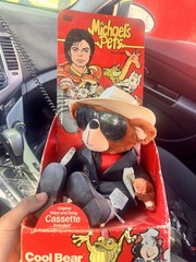 Ideal Michael’s Pets Cool Bear Plush w/ Box & Story Song Cassette 1988 Vintage