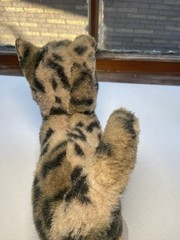 Douglas Cuddle Toys TASHETTE BENGAL CAT Plush 9.5” Stuffed Animal Toy