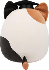 Original 12In Cam the Calico Cat in Graduation Cap – Official Jazw