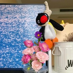 16cm Lovely Penguin Plush Keychain Cute Penguin Doll Backpack Pendant Creative