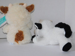 Cow Stuffed Animals Black White & Brown Cream TWO Cows Plush About 8″ SOFT