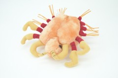 Crab Louse Toy Plushy, Plush Bug Design, Stuffed Animal, Gag Gift, 7″ GM02 B108