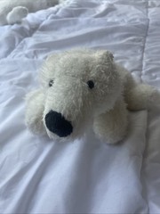Webkinz Polar Bear HM116 No Code