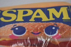 Fiesta Toy Spam Plush Toy Large 9″ Girl NWT Stuffed Plush Spam Soft Toy C21073