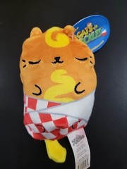 Cats vs Pickles 4″ Beanbag Plush CARNY CAT #210 AR391