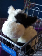 🦄Ganz / Webkinz Stringy “Lil Kinz Cow” Black & White Color HS003 7″ Plush!