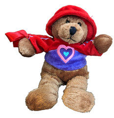G.A.C.1999 Brown Bear in Removable Purple/Red Valentine Love Outfit 10″ Plush
