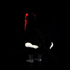 Southern Ground Hornbill 15″ Stuffed Animal Plush Toys Toddler Doll Kids Gifts