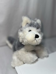 Ganz Webkinz Gray & White Husky 7″ Plush Stuffed Animal Toy HM120 No Code