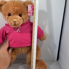 GUND Breast Cancer Ribbon Teddy Bear Pink Hoodie Plush Stuffed Animal Medium Toy