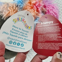 2025 Squishmallow Frumpy the Salty Bigfoot Valentine’s Day Plush 8″ w/ Ear Tag
