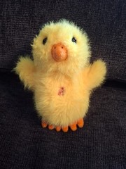 Plush Chick / Chicken with Sound by Goffa Stuffed Animal Pre-owned