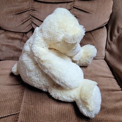 Rare Mary Meyer Plush Creamie Creamy White 17″ Volvo Beanie Teddy Bear 52461