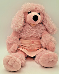 Build A Bear PINK FRENCH POODLE Dog 18″ Plush Animal + Box + Bonus Puppy READ