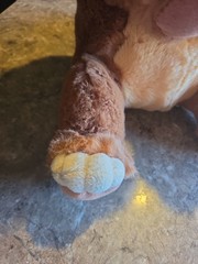 The Land Before Time Stuffed Vintage Plush, 1988 Jc Penny’s Exclusive 16″