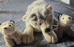 Vintage Unipak wolf/husky pregnant plush toy with two pups in belly~Rare