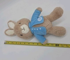 The World of Beatrix Potter Peter Rabbit Plush Stuffed Animal Easter FW Co 2022