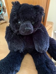 Little Black Furry Stuffed Kitty Cat in a Black Cat Bag