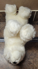 MARSHMALLOW the Plush POLAR BEAR 13″ Stuffed Animal by Douglas Cuddle Toys #268