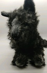 12″ Douglas Cuddle Toys Cairn Terrier HAZEL Dog Plush 2024 (#2047)