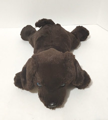 Bass Pro Shop Chocolate Lab Puppy Dog Floppy Fall/13 Plush Wildlife Artists 2013
